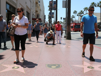 Hollywood Walk of Fame stars on sidewalk Los Angeles